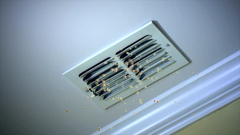 Best Air Duct Cleaning Near Me  in Grand Rapids, MN