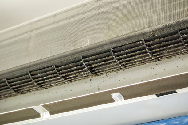 Best Home Air Vent Cleaning  in Grand Rapids, MN